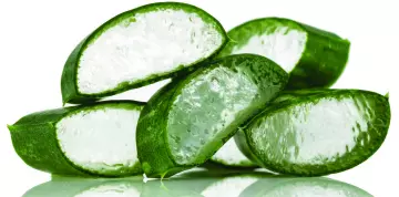 Aloe Vera (Aloé)